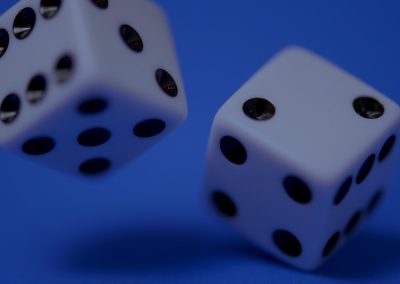 Estudi de l’herbivoria en quatre espècies de plantes: models amb excés de zeros