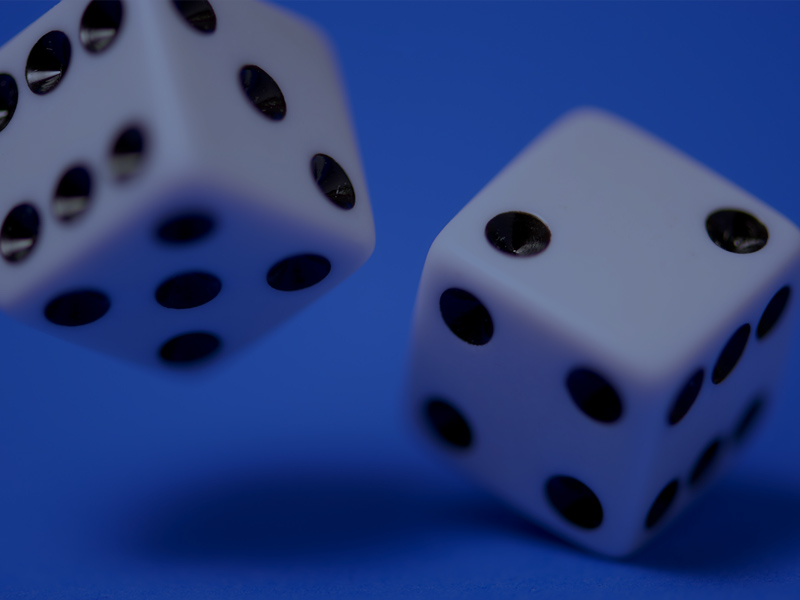 Estudi de l’herbivoria en quatre espècies de plantes: models amb excés de zeros